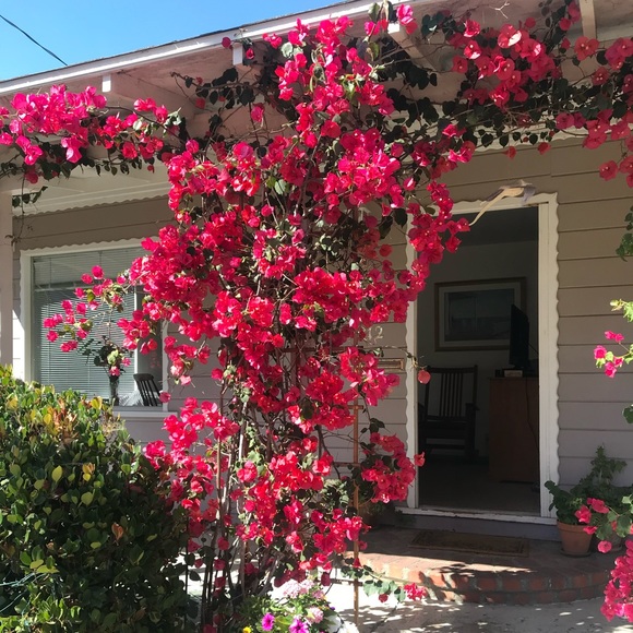 NEW & PRE-L❤️VED•VINTAGE & ANTIQUE•FAST SHIPPING✈️ - Picture 9 of 13